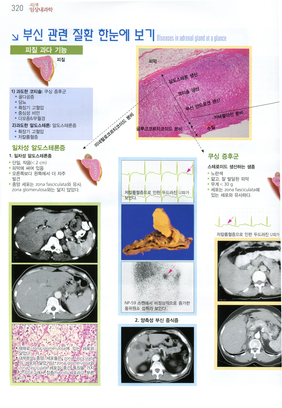 로드맵 임상내과학