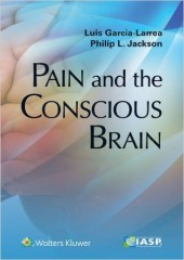 Pain and the Conscious Brain 