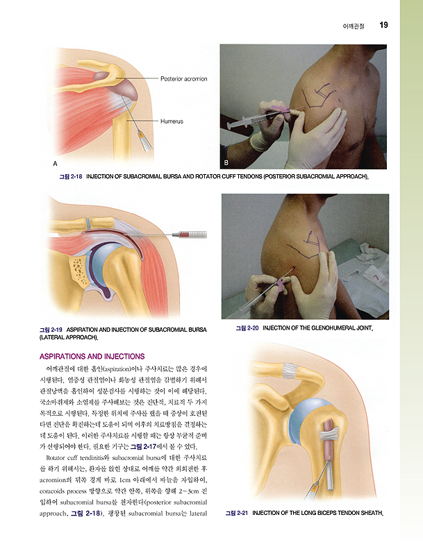 FAM's 근골격계 검사와 관절 주사법   