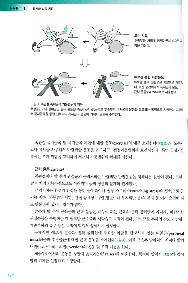 하지와 족부통증의 진단과 치료(개원의를 위한)