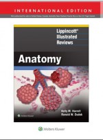 Lippincott® Illustrated Reviews: Anatomy, First edition, International Edition 