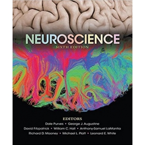 Neuroscience, 6/E 