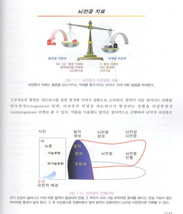 뇌전증의 이해와 극복