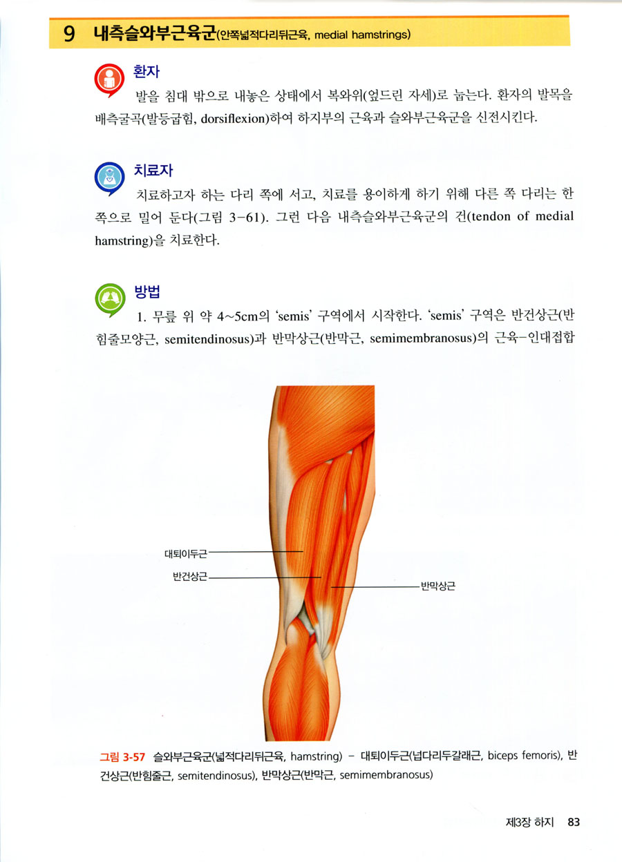 롤핑: 실전 근막이완요법 [양장본]