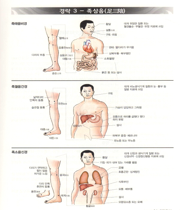 도해 임상한의학개론 -양방 생리 병리로 풀어쓴