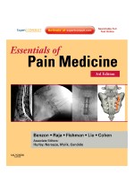 Essentials of Pain Medicine, 3/e