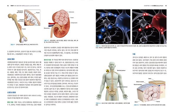 통증의학의 정석 (Fundamentals of Pain Medicine How to Diagnose and Treat Your Patients)