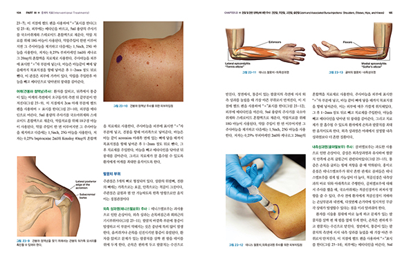 통증의학의 정석 (Fundamentals of Pain Medicine How to Diagnose and Treat Your Patients)