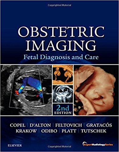 Obstetric Imaging: Fetal Diagnosis and Care, 2e