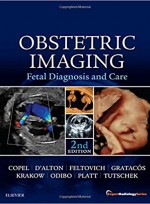 Obstetric Imaging: Fetal Diagnosis and Care, 2e