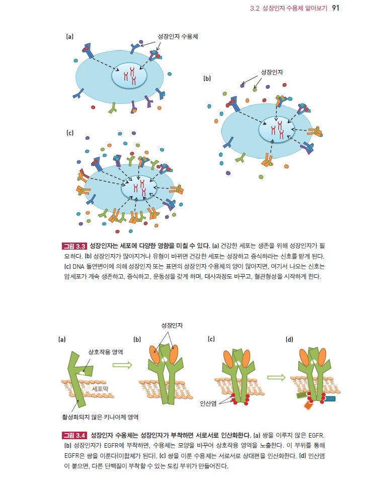 표적항암치료 안내서-1판