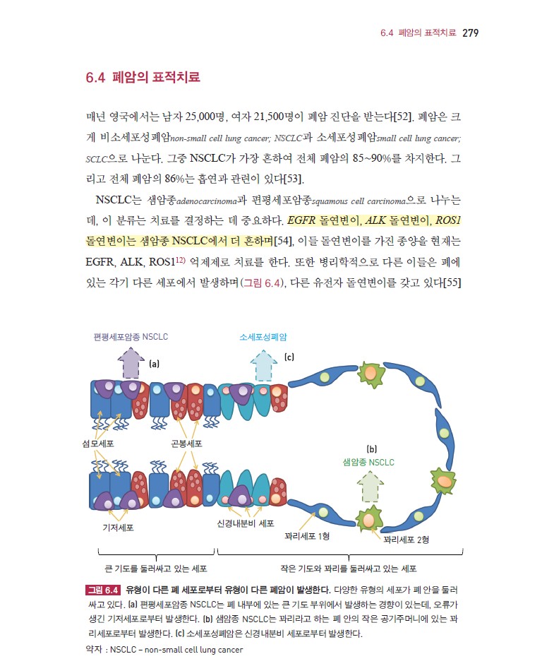 표적항암치료 안내서-1판