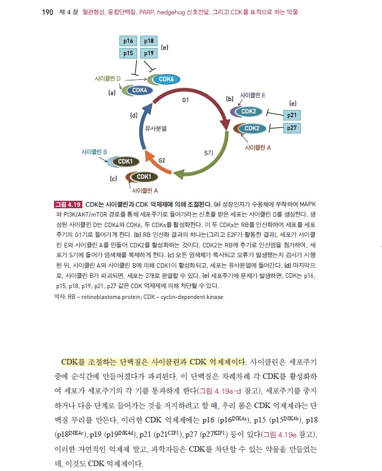 표적항암치료 안내서-1판