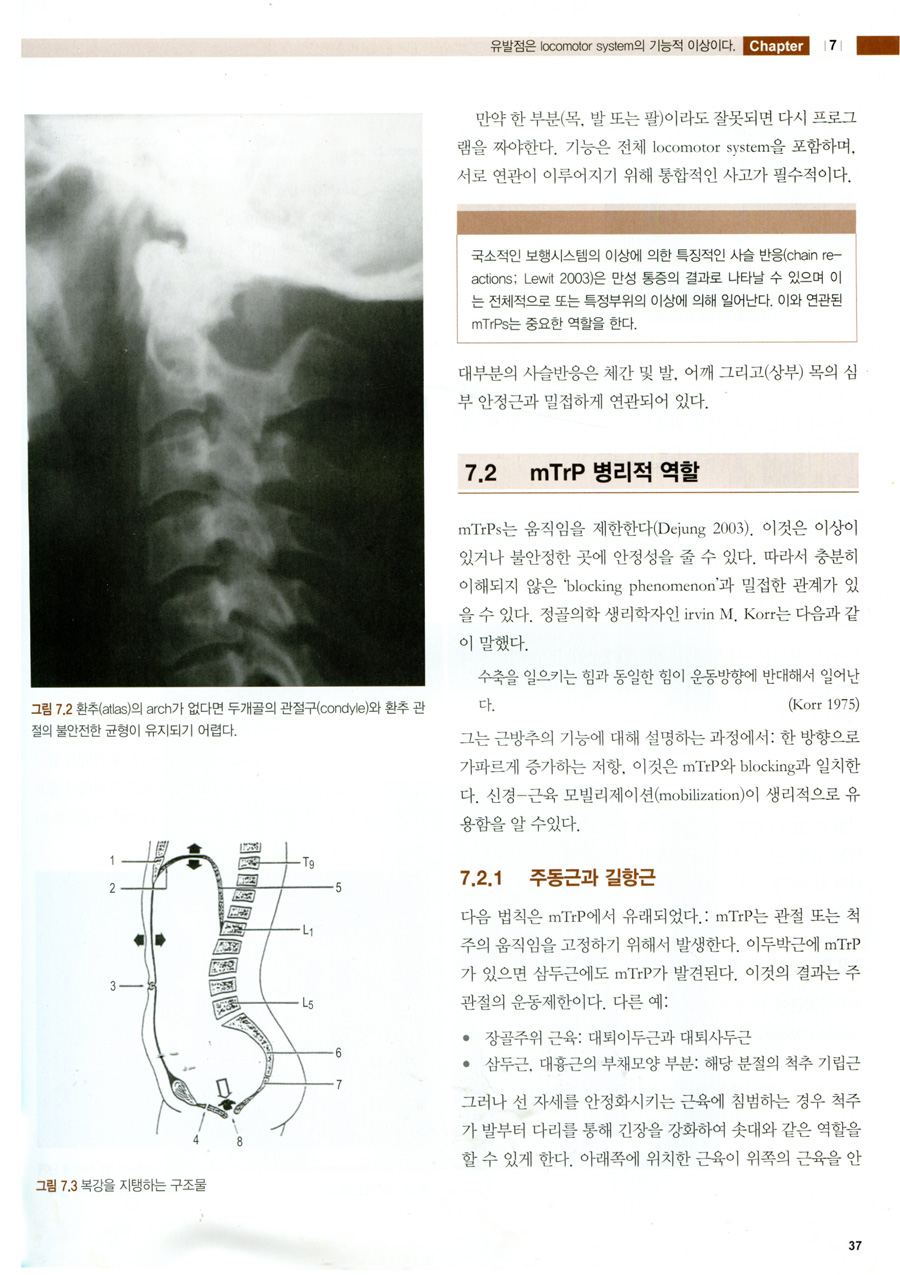 통증유발점의 진단과치료 (Myofascial Trigger Point Comprehensive Diagnosis and Tretment) 