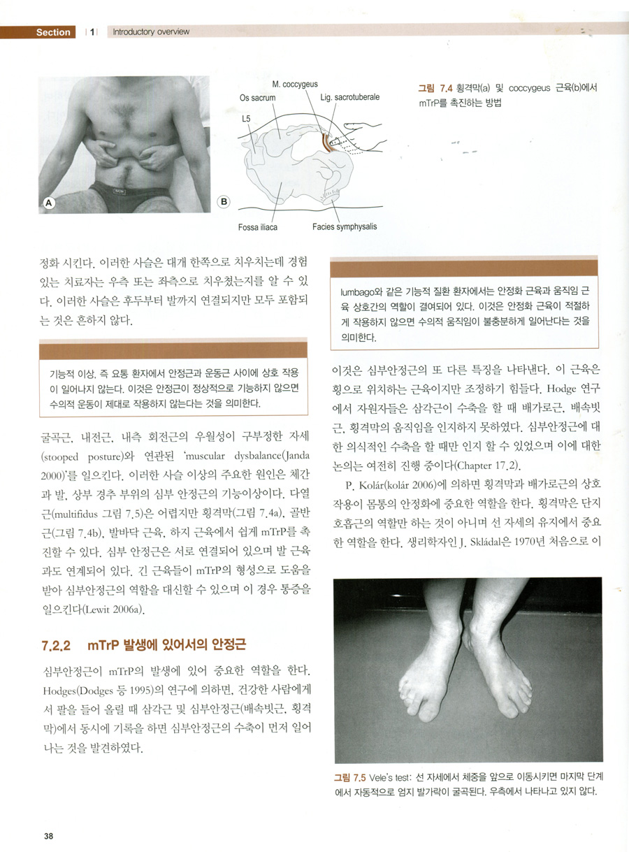 통증유발점의 진단과치료 (Myofascial Trigger Point Comprehensive Diagnosis and Tretment) 