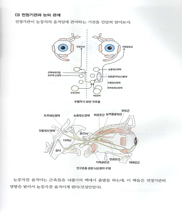 빙빙 윤승일 원장의 어지럼증 없는 세상 알기 쉬운 어지럼증의 진단과 치료 