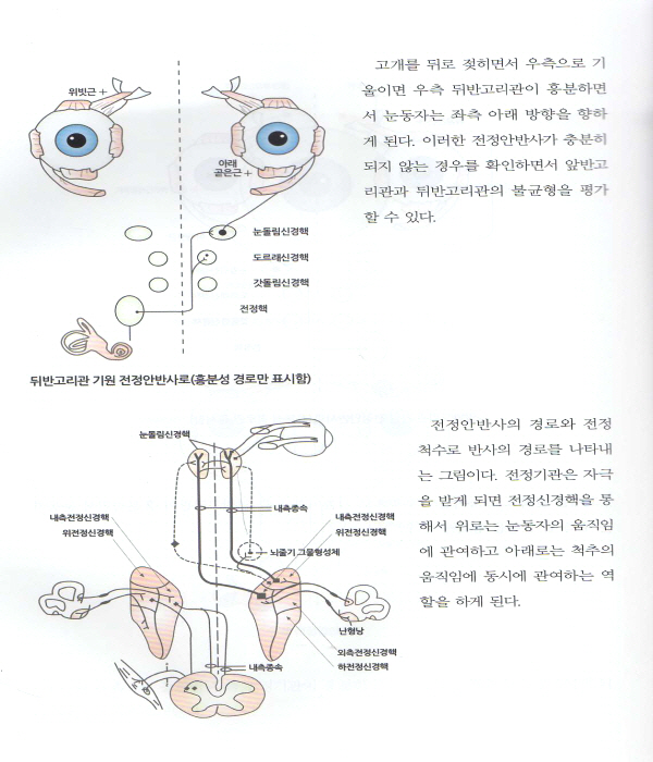 빙빙 윤승일 원장의 어지럼증 없는 세상 알기 쉬운 어지럼증의 진단과 치료 