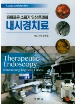 흥미로운 소화기 임상증례의 내시경치료Therapeutic Endoscopy in Interesting Digestive Cases