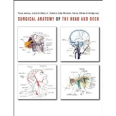 Surgical Anatomy of the Head & Neck 