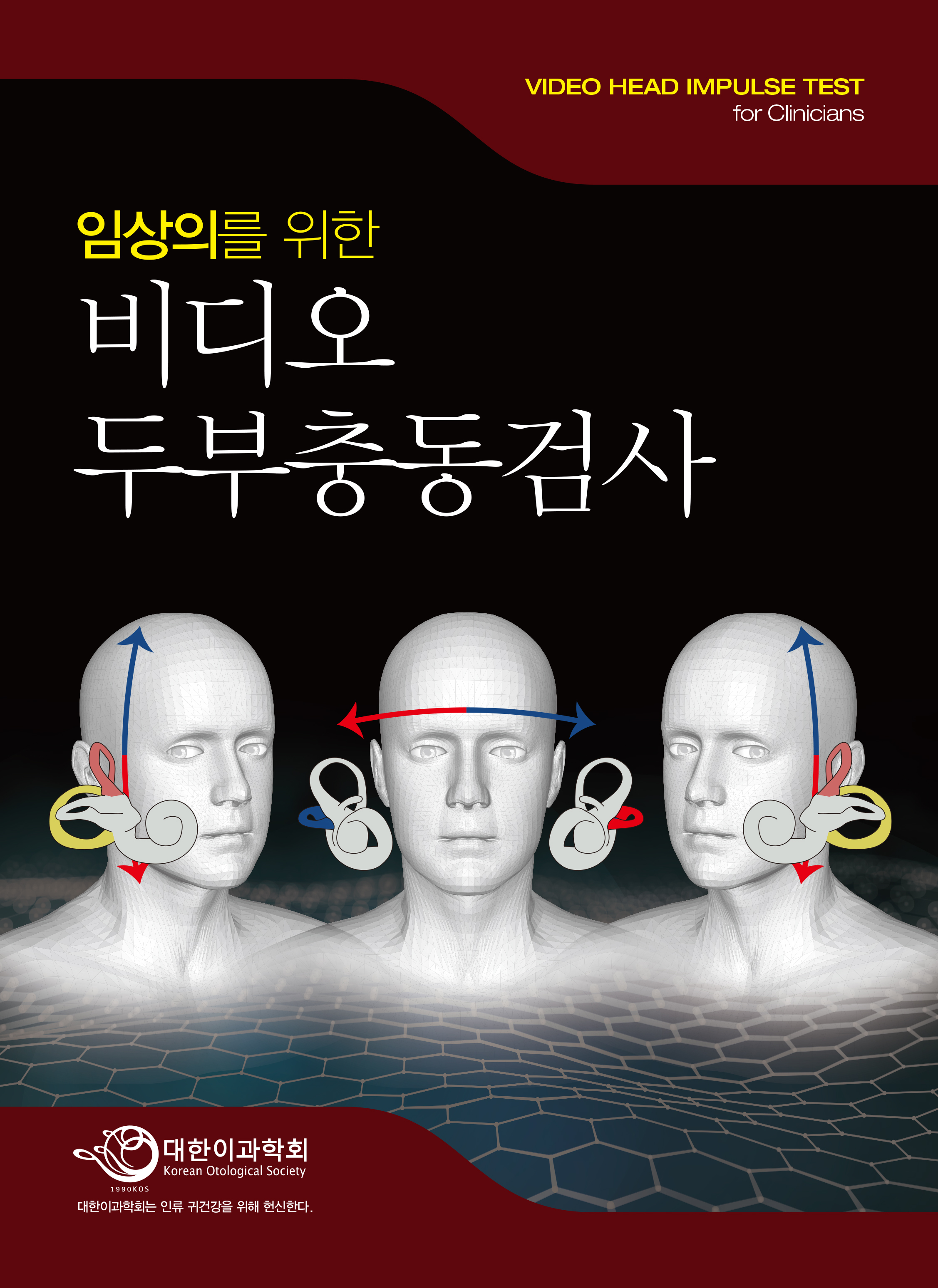 임상의를 위한 비디오 두부충동검사   