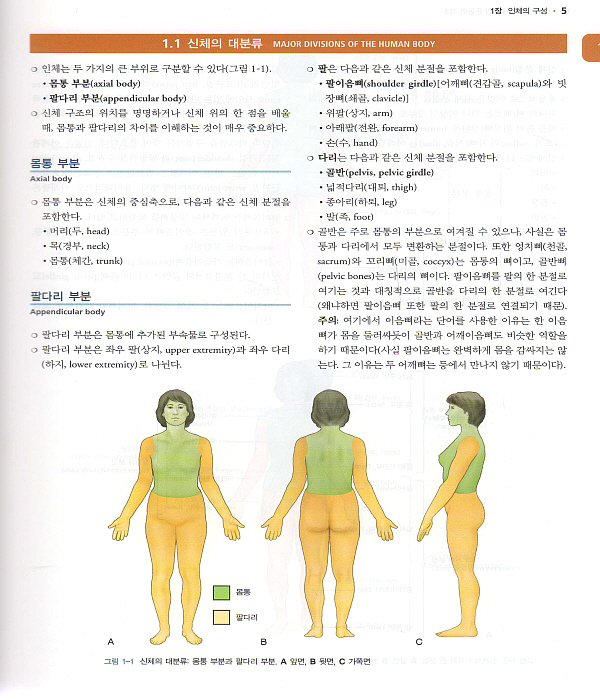 임상운동학: 뼈대계와 근육의 기능(Kinesiology,2/e)