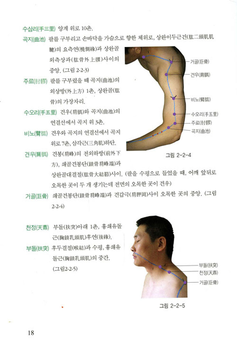 초간편 침구취혈 (vod 2장 포함)