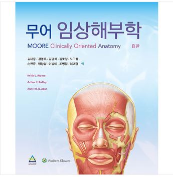 무어 임상해부학-8판 (MOORE Clinically Oriented ANATOMY 8/E 번역)