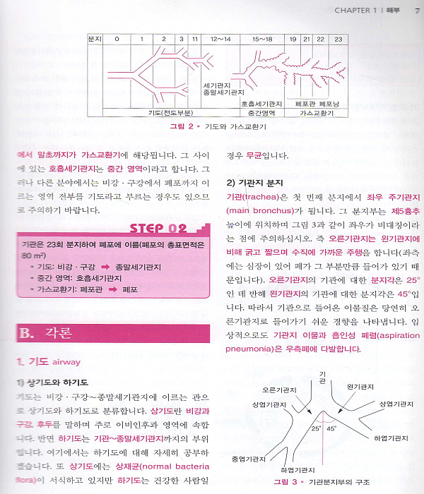 스텝내과-호흡기.류마티스 3