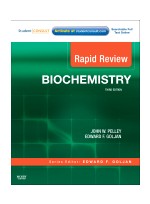 Rapid Review Biochemistry, 3/e