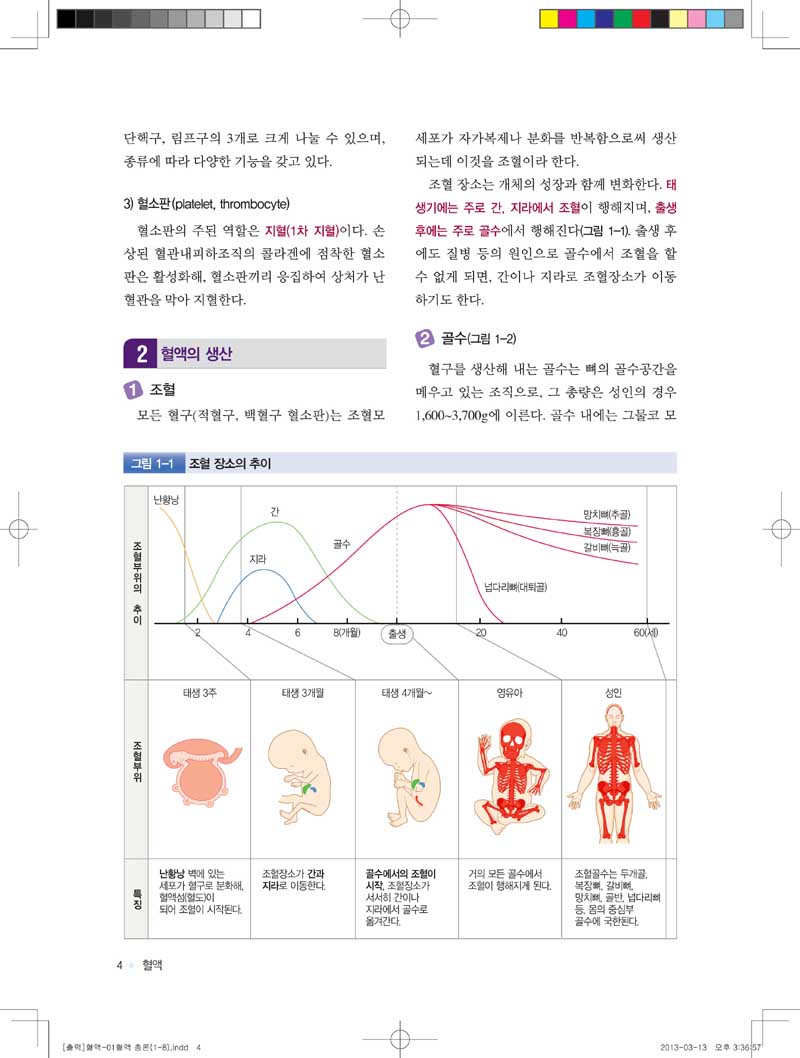 SIM 내과학 개정증보판 (전10권) - 해부 병태생리로 이해하는