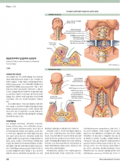 THE NETTER COLLECTION OF MEDICAL ILLUSTRATIONS: 근육뼈대계통 (3권 Set)