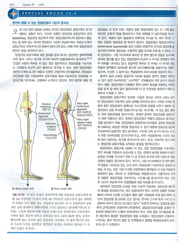 뉴만 Kinesiology 근육뼈대계통의기능해부학및운동학 3판