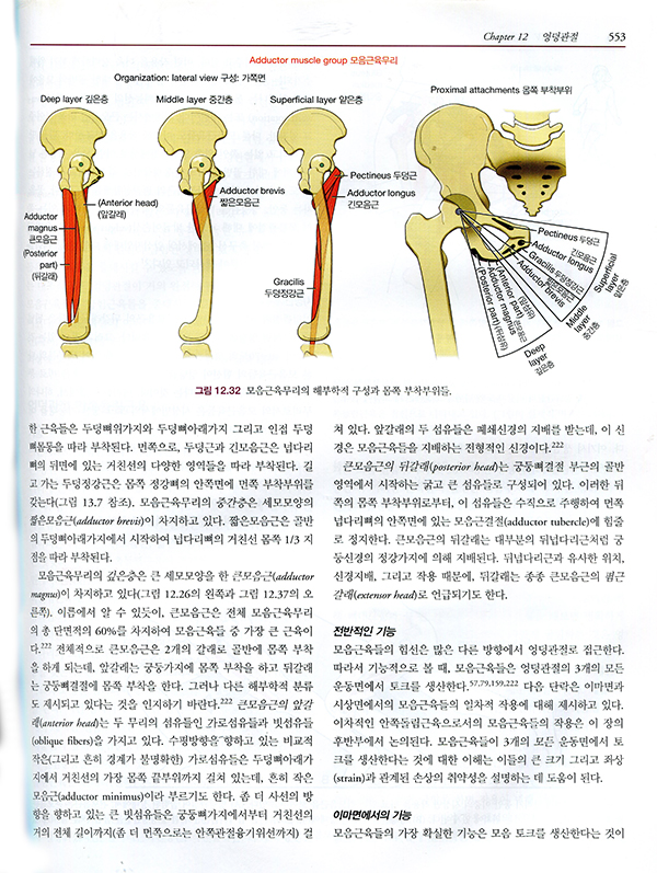 뉴만 Kinesiology 근육뼈대계통의기능해부학및운동학 3판