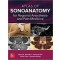 Atlas of Sonoanatomy for Regional Anesthesia and Pain Medicine 1st 